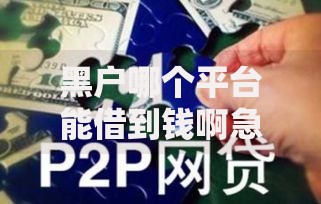 黑户哪个平台能借到钱啊急用？合规渠道与风险解析
