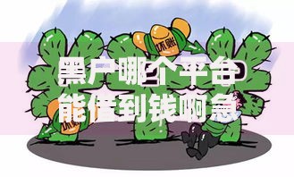 黑户哪个平台能借到钱啊急用？合规渠道与风险解析
