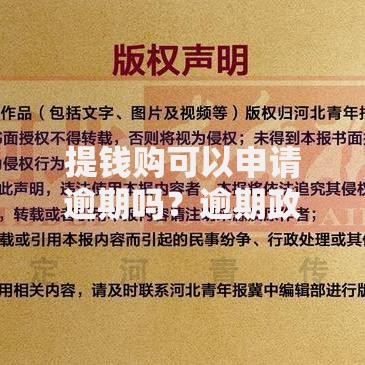 提钱购可以申请逾期吗？逾期政策、协商流程及后果解析