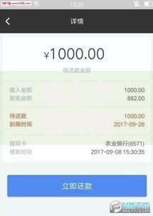 晚上下款的网贷口子2025如何实现快速审核到账