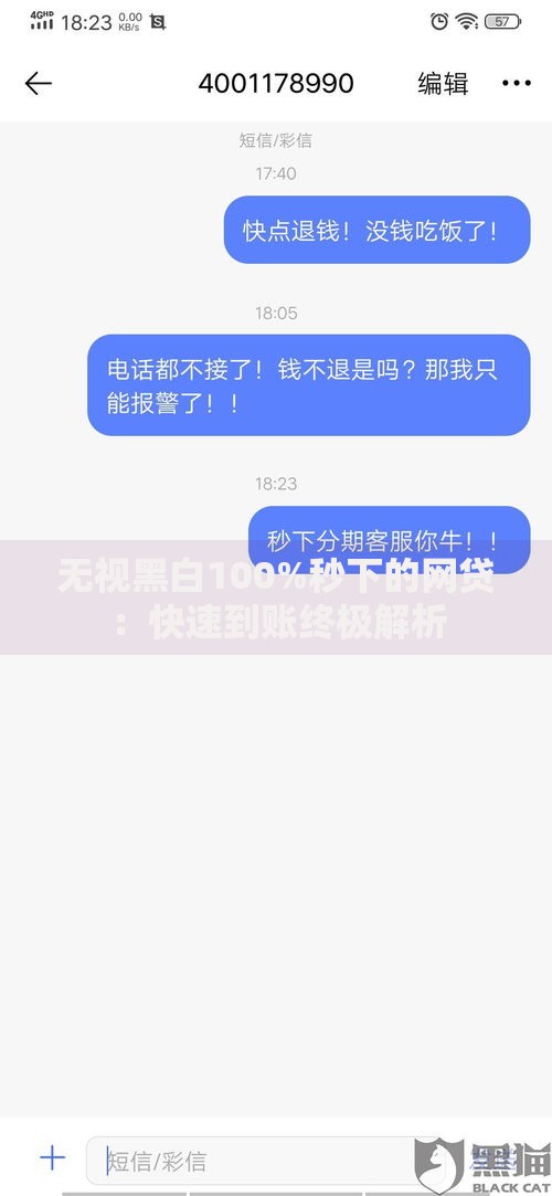 无视黑白100%秒下的网贷：快速到账终极解析