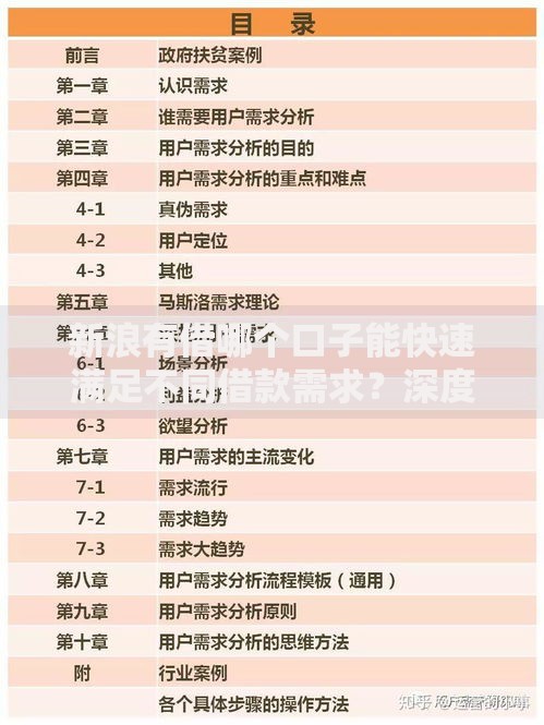 新浪有借哪个口子能快速满足不同借款需求？深度解析产品特点