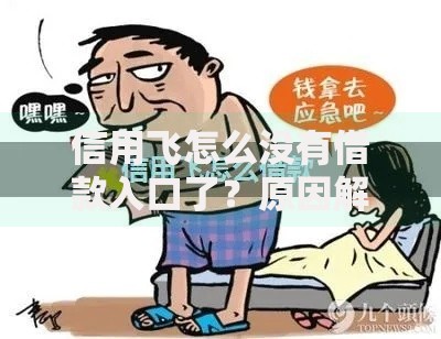 信用飞怎么没有借款入口了？原因解析与应对指南