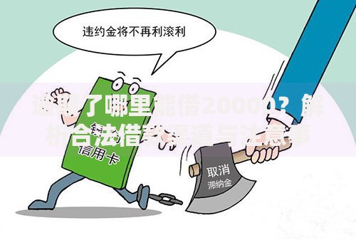 逾期了哪里能借20000？解析合法借款渠道与注意事项