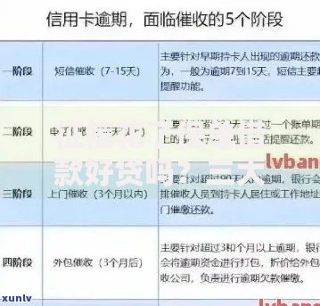 征信花了保单借款好贷吗？三大关键点深度解析