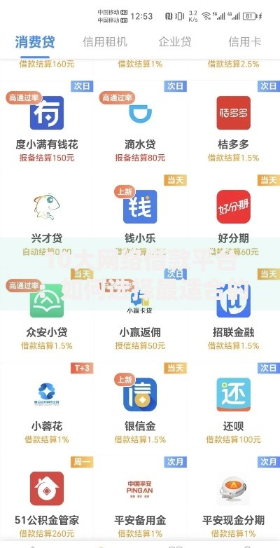 10大网络借款平台：如何选择最适合的贷款渠道？
