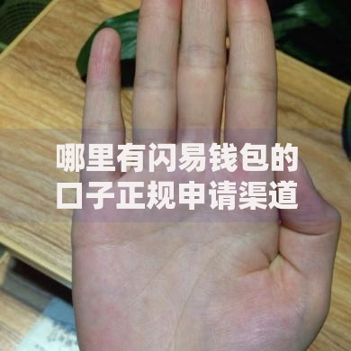 哪里有闪易钱包的口子正规申请渠道解析