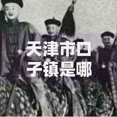 天津市口子镇是哪个区？贷款政策深度解析