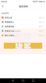 招财猪系列口子有哪些？深度解析正规贷款平台推荐及申请技巧