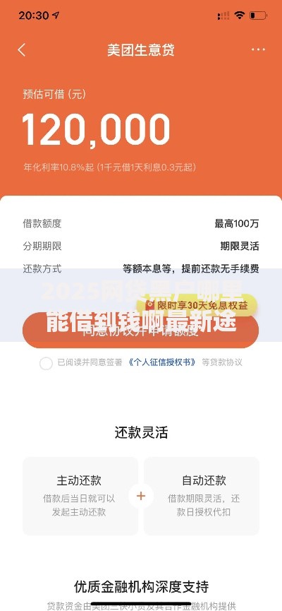 2025网贷黑户哪里能借到钱啊最新途径解析