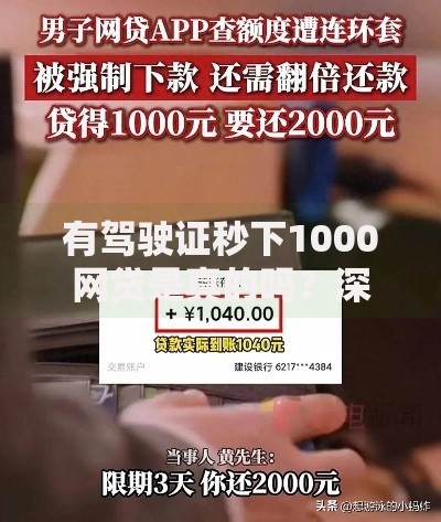 有驾驶证秒下1000网贷是真的吗？深度解析背后真相