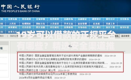 19岁可以借款的正规平台有哪些？精选安全渠道推荐