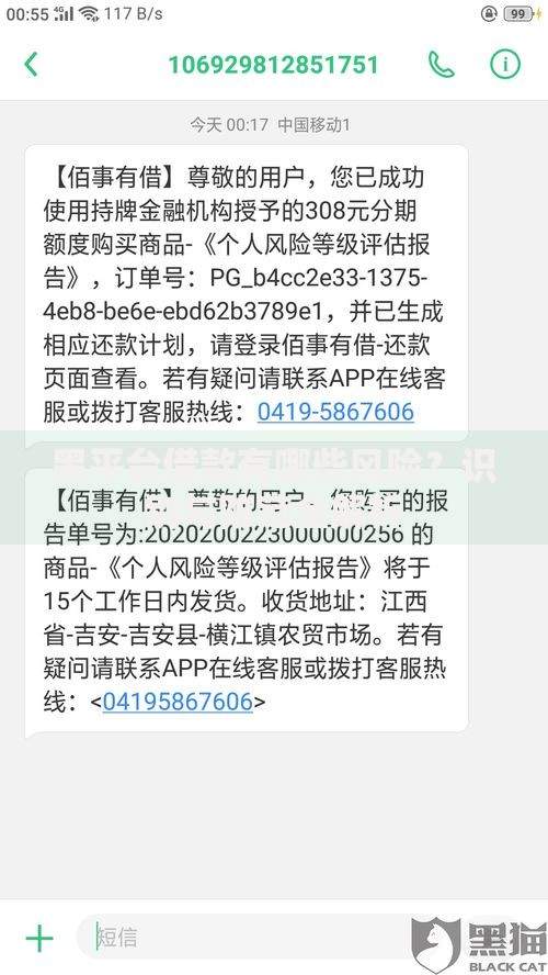 黑平台借款有哪些风险？识别与防范全解析