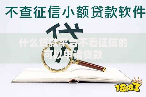 什么贷款平台不看征信的可以申请贷款