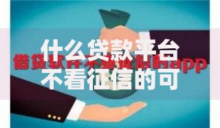 什么贷款平台不看征信的可以申请贷款