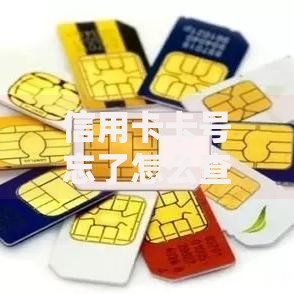 信用卡卡号忘了怎么查？5个实用方法帮你快速找回