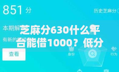 芝麻分630什么平台能借1000？低分用户借款渠道解析