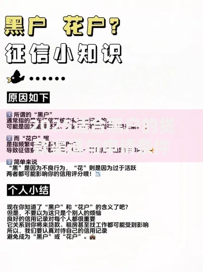 2025适合黑户的贷款渠道与申请条件深度解析