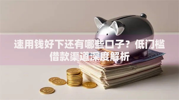 速用钱好下还有哪些口子？低门槛借款渠道深度解析