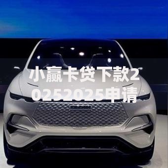 小赢卡贷下款20252025申请流程与额度解析