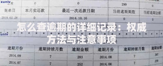 怎么查逾期的详细记录：权威方法与注意事项