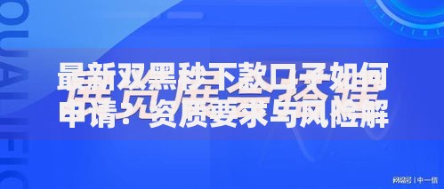 最新双黑秒下款口子如何申请？资质要求与风险解析