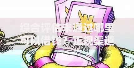 综合评估未通过哪里可以借钱？正规渠道与风险防范全解析