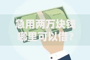 急用两万块钱哪里可以借？快速借款渠道深度解析