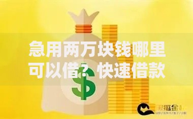 急用两万块钱哪里可以借？快速借款渠道深度解析