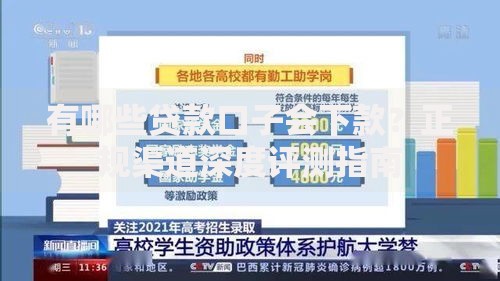 有哪些贷款口子会下款？正规渠道深度评测指南