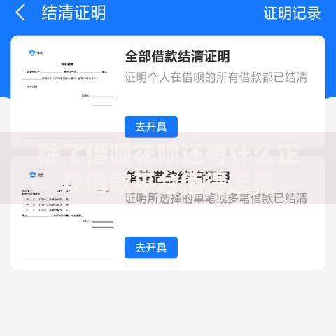 除了借呗花呗还有什么正规借款平台值得选择