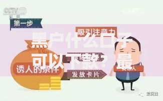 黑户什么口子可以下款？最新借贷渠道深度解析
