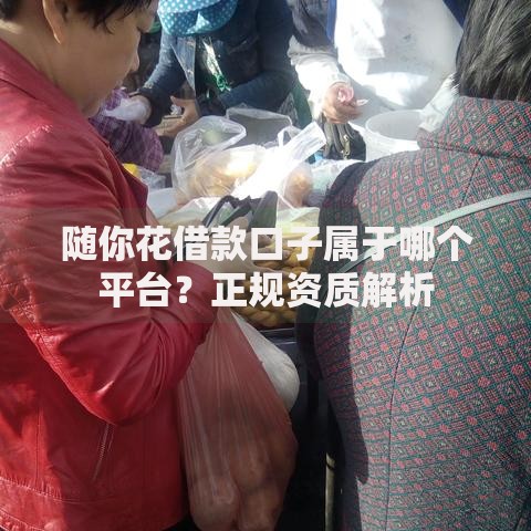 随你花借款口子属于哪个平台？正规资质解析