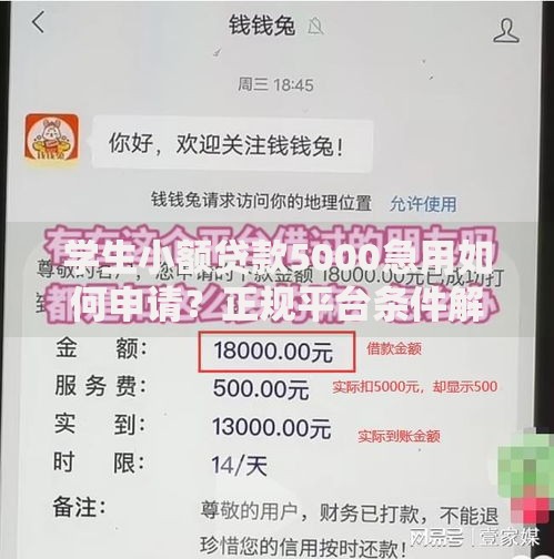 学生小额贷款5000急用如何申请？正规平台条件解析