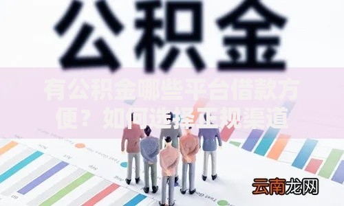 有公积金哪些平台借款方便？如何选择正规渠道