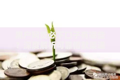 黑户网贷必下口子有哪些？深度解析可靠借款渠道