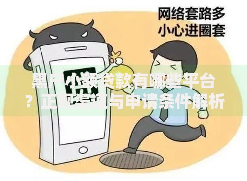 黑户小额贷款有哪些平台？正规渠道与申请条件解析