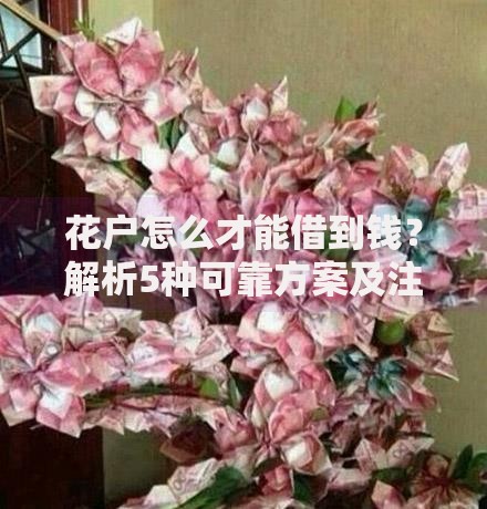 花户怎么才能借到钱？解析5种可靠方案及注意事项