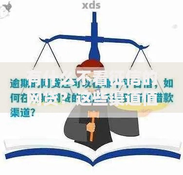 有什么不看征信的网贷？这些渠道值得关注