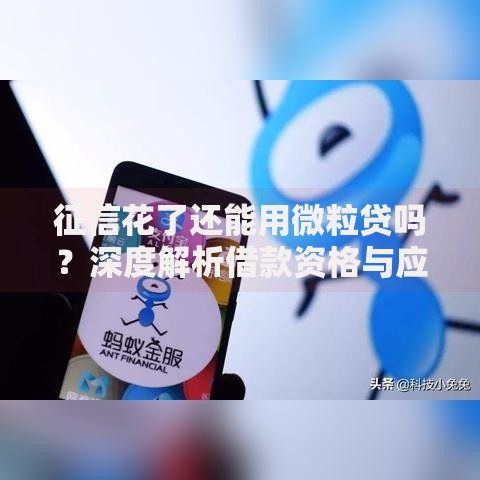 征信花了还能用微粒贷吗？深度解析借款资格与应对策略