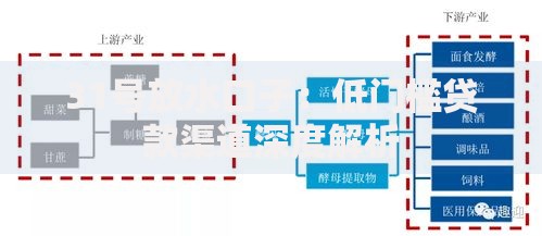 31号放水口子：低门槛贷款渠道深度解析