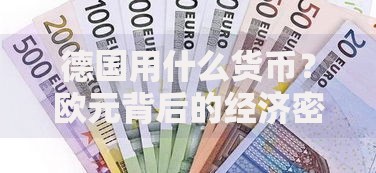 德国用什么货币？欧元背后的经济密码与生活趣谈