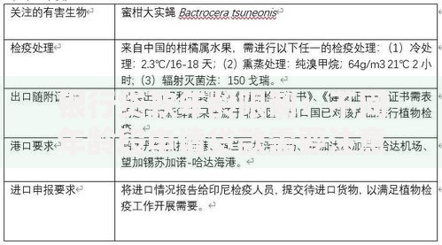 银行贷款年龄限制：不同年龄段申请贷款需要注意哪些问题？