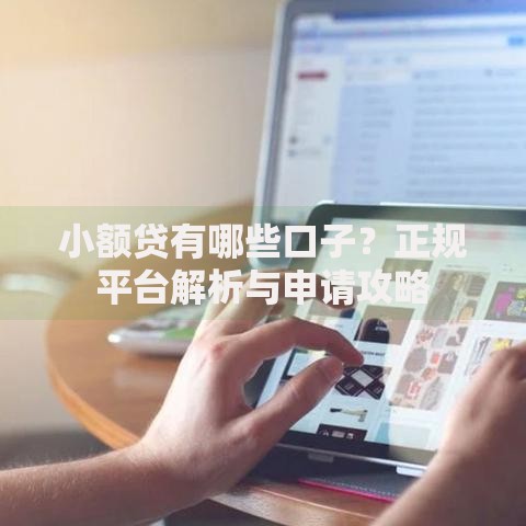 小额贷有哪些口子？正规平台解析与申请攻略
