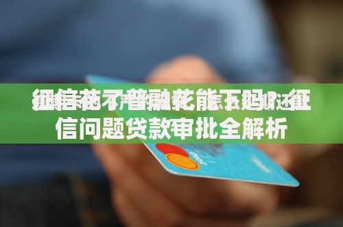 征信花了普融花能下吗？征信问题贷款审批全解析