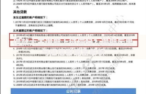 借款大王逾期上征信吗？逾期后果与征信影响全解析