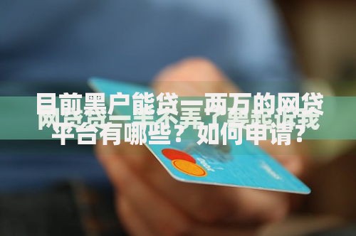 目前黑户能贷一两万的网贷平台有哪些？如何申请？