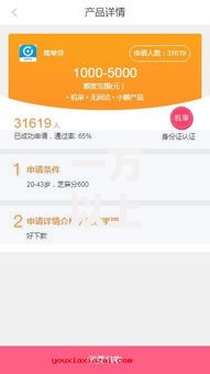 一万以上额度借款口子如何选择？高额度贷款深度解析