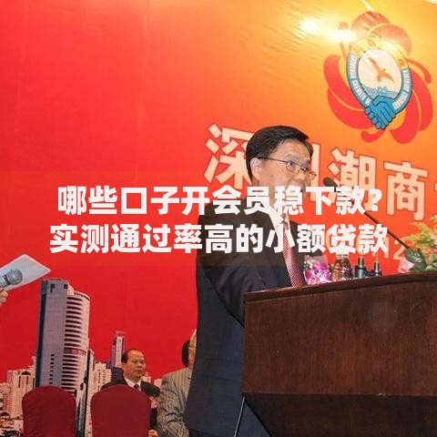 哪些口子开会员稳下款？实测通过率高的小额贷款平台推荐