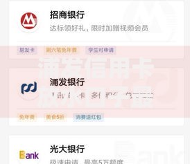浦发信用卡放水口子最新低息借款渠道解析